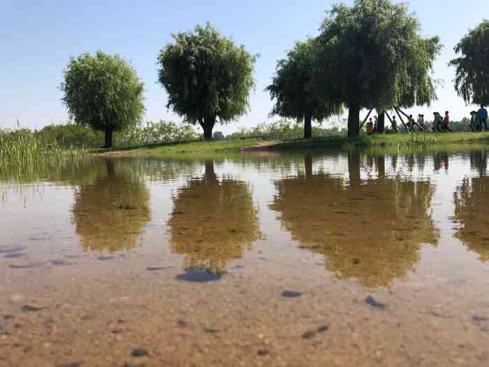 沭河湿地公园-"92环境:沭河公园可以说是莒县de风景