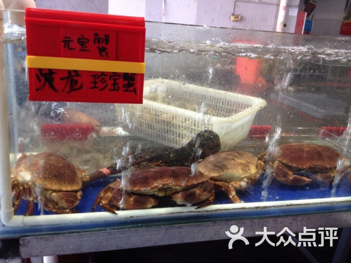 海鲜大餐_海鲜干货_红海湾海鲜(2)