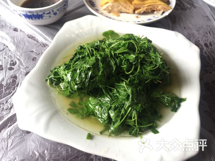 老八样农家菜-酒香菜头图片-上海美食-大众点评网