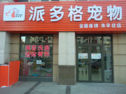 柳林县城市管理综合行政执法队开展校园周边环境秩序整治哈希娱乐- 哈希游戏平台- 哈希游戏官方网站