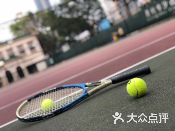 广州市沙面网球场体育-第50张图片舞蹈教学的基本要求是图片