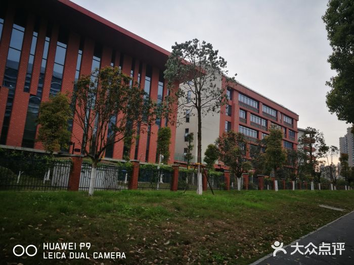 重庆两江新区西南大学附属中学(竹林校区)图片