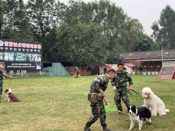 家宝训犬学校训狗基地