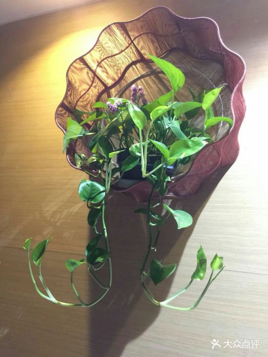 看到点评去的,感觉不错,推背手法很好,舒.-逸