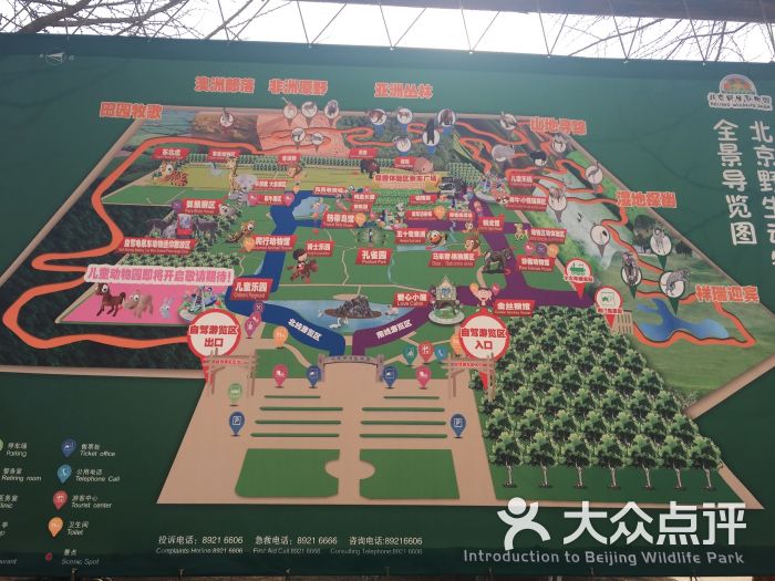 我带了面包给鸟类准备大兴区 黄村 动植物园 动物园 北京野生动物园