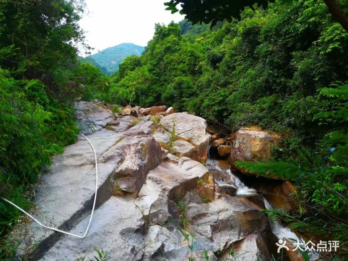 马峦山郊野公园图片 - 第40张