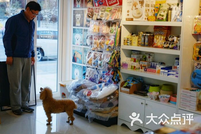 温馨宠物店环境实拍