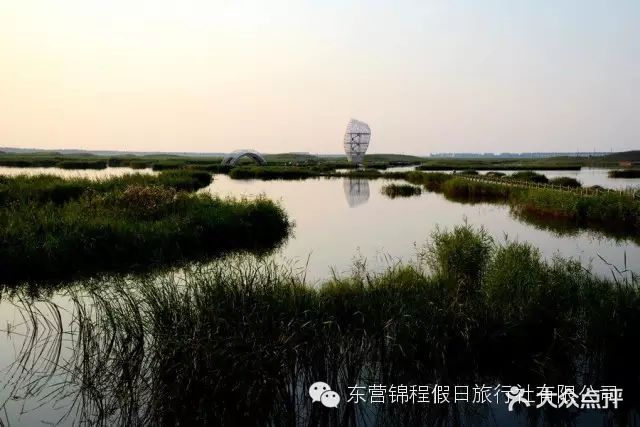 巨淀湖风景区图片 - 第34张