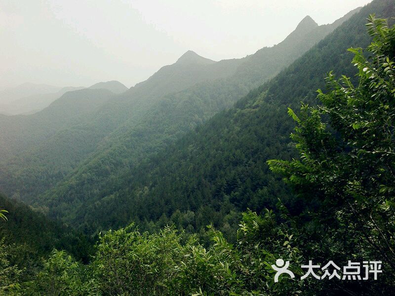 石头坪森林公园-图片-兰州周边游-大众点评网
