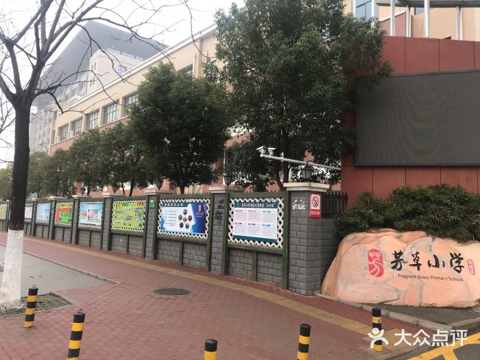 芳草小学图片