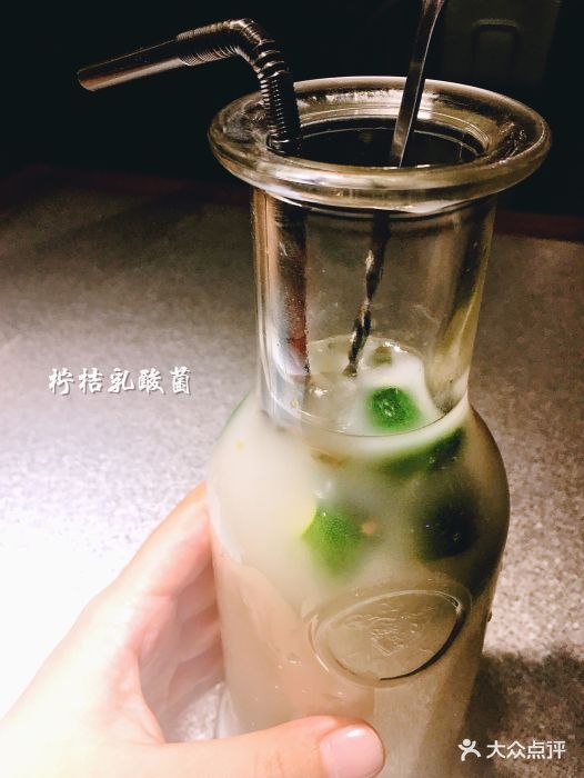 柠桔乳酸菌