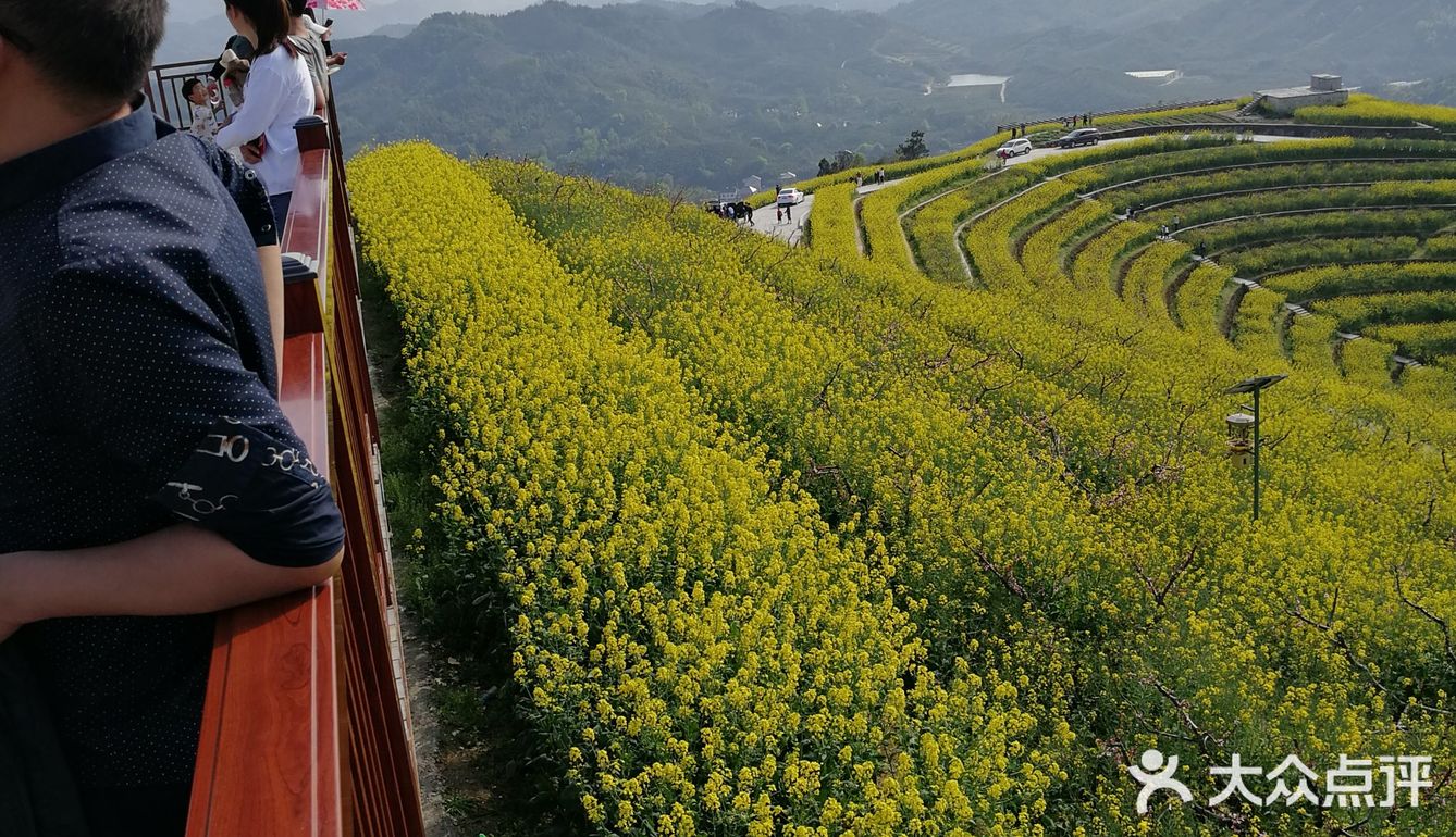 杭州绝对小众的网红景点