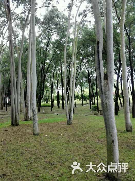 麒麟山庄疗养院果场-图片-深圳休闲娱乐