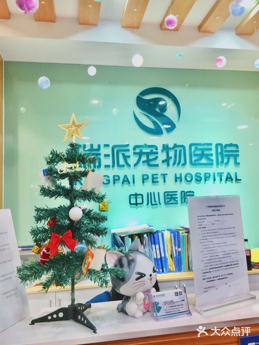 瑞派宠物医院(广州中心医院)图片