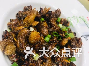 【聚丰楼】徐州连锁大全,点击查看全部1家分店-大众点评网