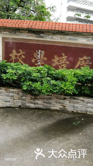 广培小学图片 第5张