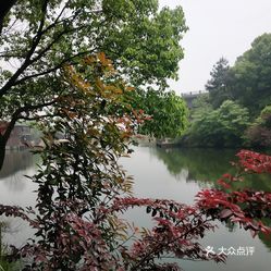 天台多少人口_台湾有多少人口(3)