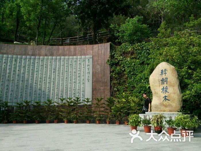 韩文公祠韩祠橡木图片 - 第234张