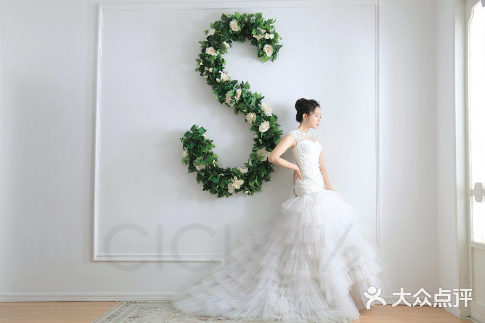 婚纱摄影光盘_光盘行动图片(2)