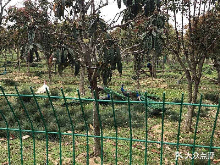 光谷半岛生态体验园