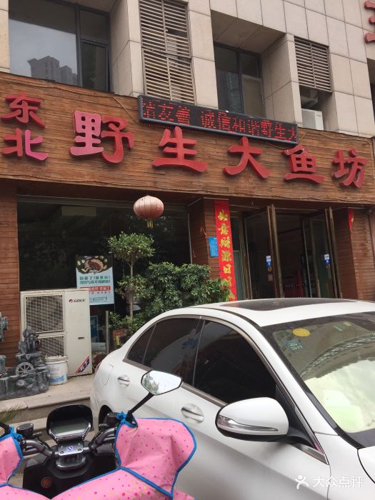 东北野生大鱼坊(秦岭路店)图片 第1张