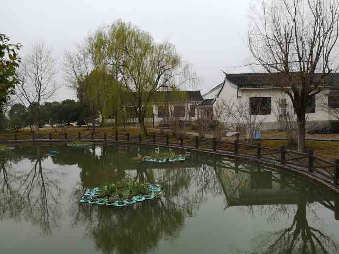 环东生态园"碧云天,黄叶地,秋色连波,拥抱你一一淡淡.