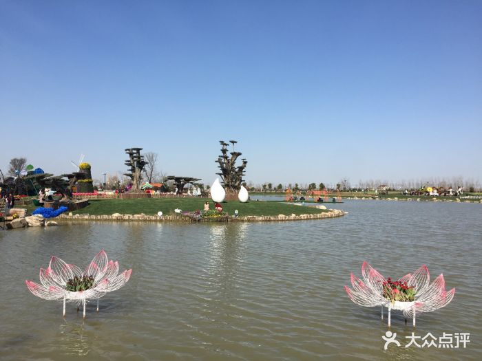 清明节假去的正赶上郁金香节人叫一个多啊车