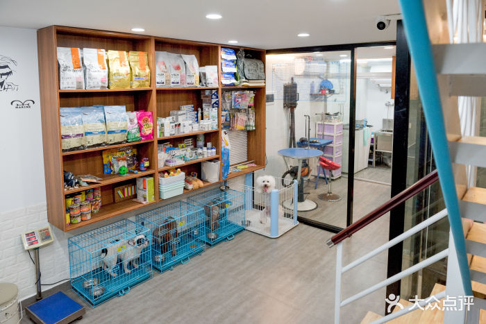 光有宠物店内环境图片