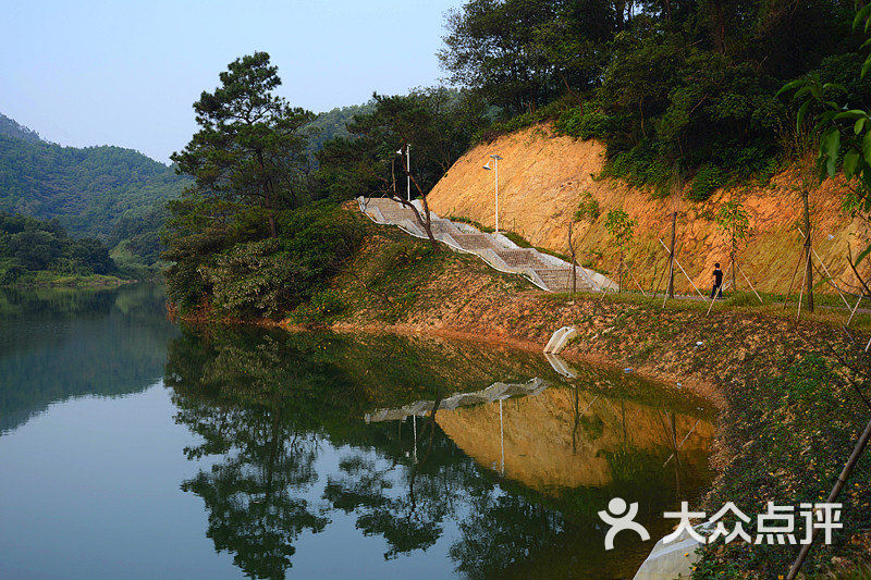 大西坑保护区-景点-环境-景点图片-江门周边游-大众