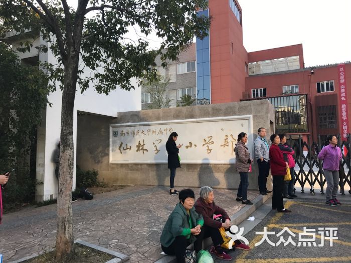 南师附中仙林学校小学部图片 第8张