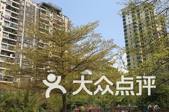 深圳公园排名_深圳湾公园