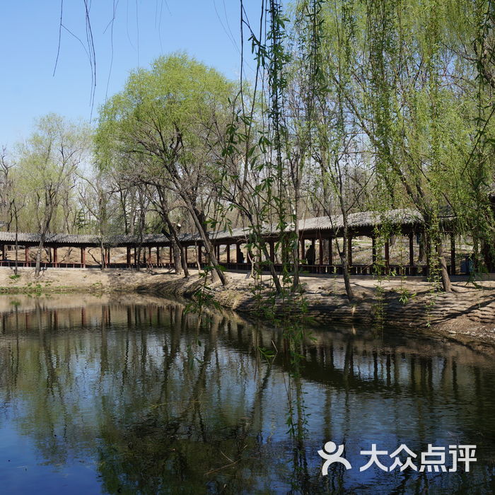 西沽公园