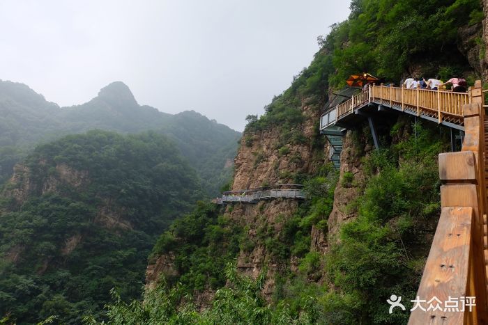 白蛇谷风景区图片 - 第41张
