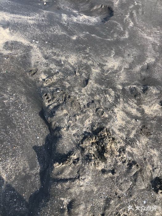 从威尼斯人打车去黑沙滩,车费60元澳门元,.-黑