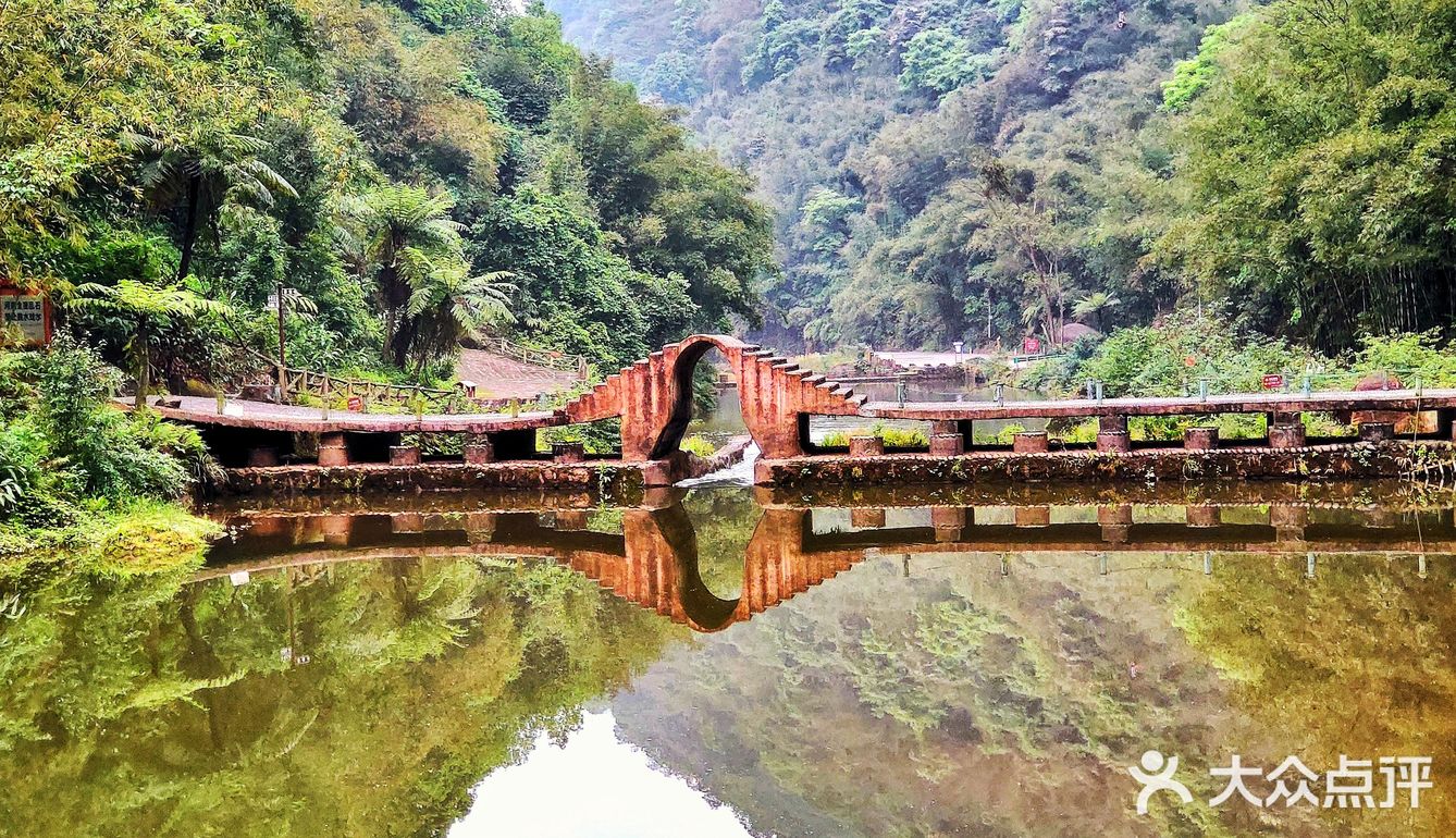 地理位置:长宁县七洞沟景区 出行方式:建议自驾直接到