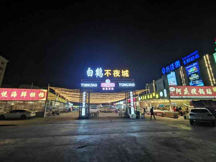 乐清北白象网站优化 大众点评