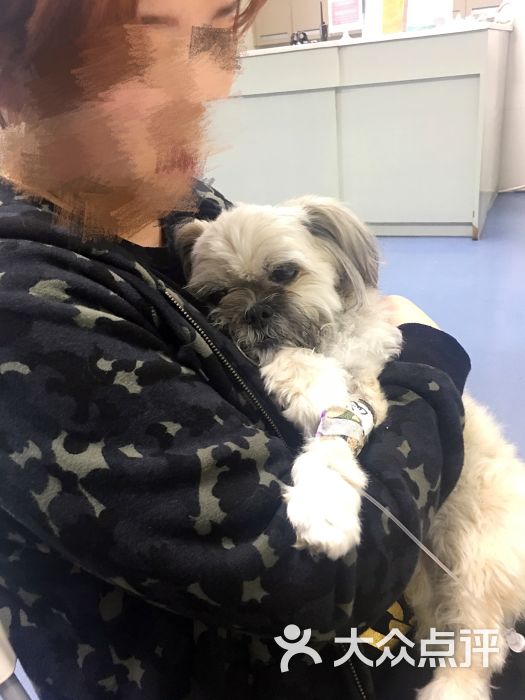 我宠我爱动物医院(沈阳和平店)-图片-沈阳宠物