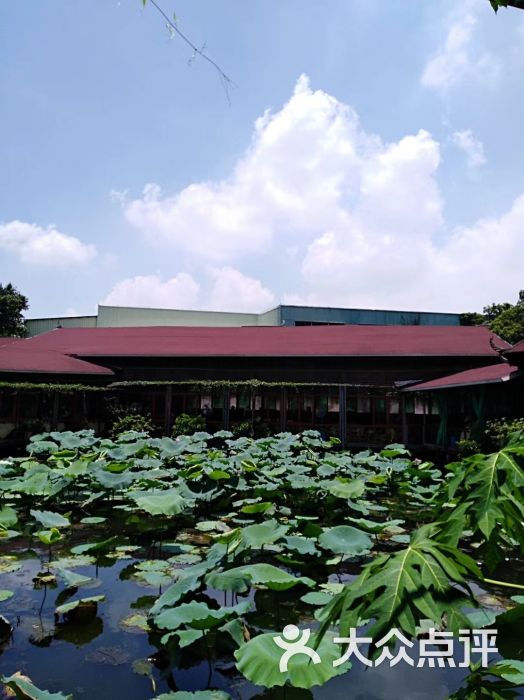 荷香居(洞企石路店)