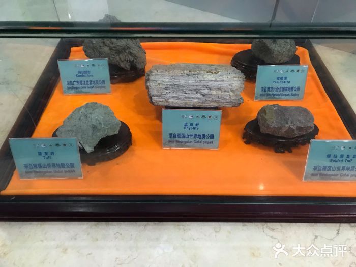 雁荡山博物馆图片