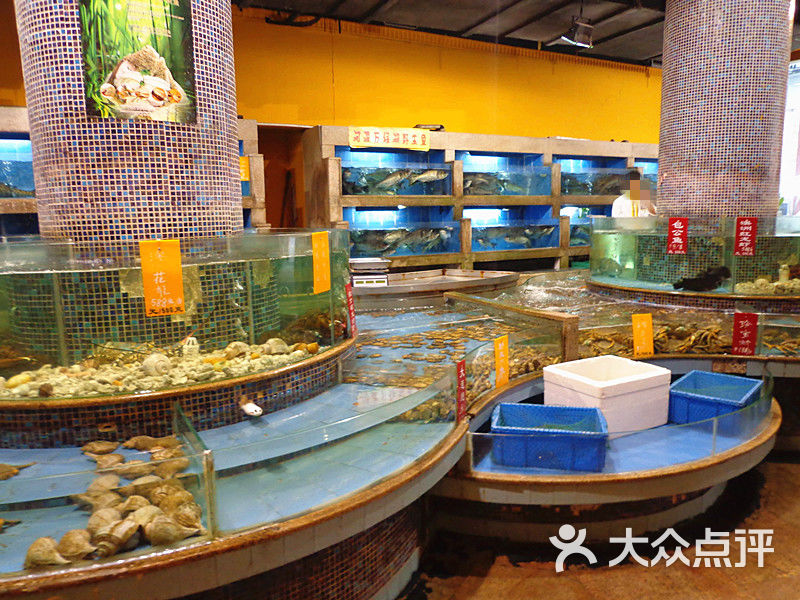 海鲜池_海鲜池全套施工图_海鲜池模型