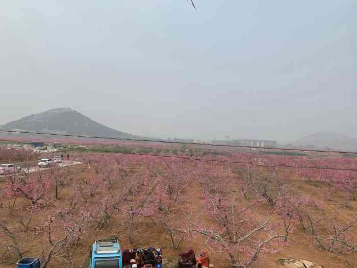 刘台桃花源景区