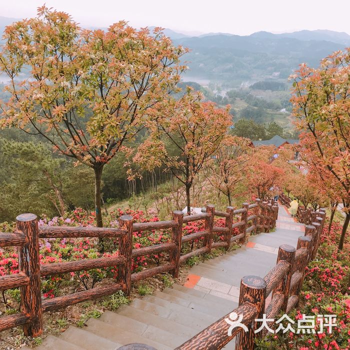 英山四季花海养心苑