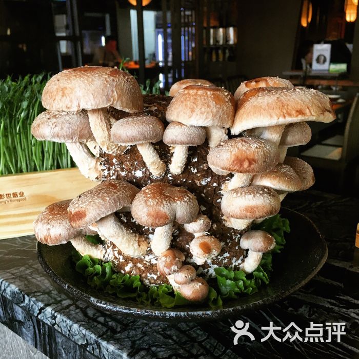凑凑火锅·茶憩(来福士广场长宁店)活体香菇图片 第3张
