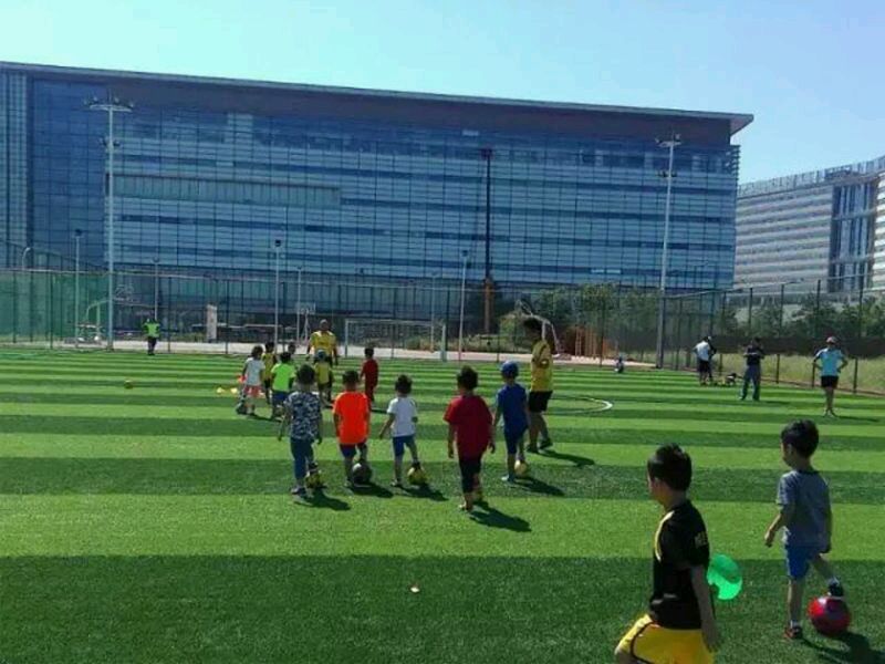 奥莱足球培训-奥森体育公园北园-图片-北京