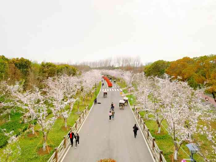 苏州湖畔花语景区-"周日带着小朋友一起去湖畔花语,因