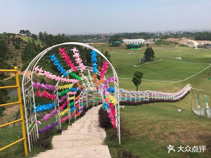 衢州飞鸿滑草场图片 - 第2张
