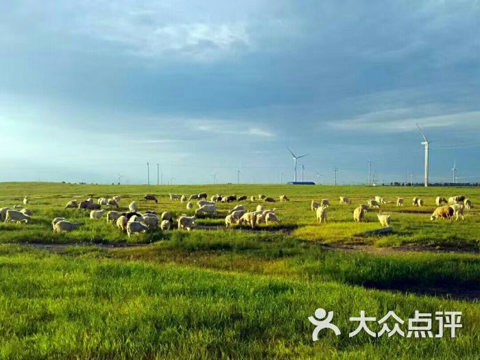 珠日河草原旅游区售票处图片 - 第8张