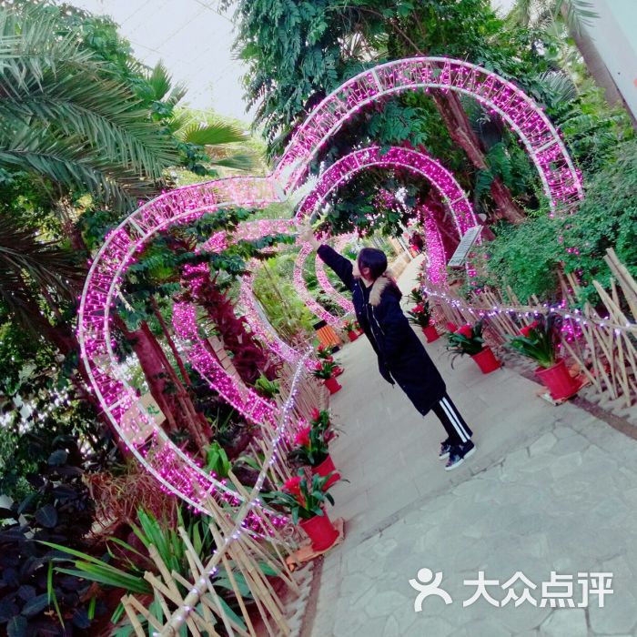电谷城市低碳公园图片 - 第15张
