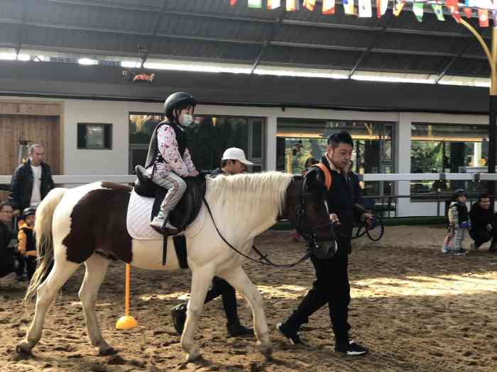 南京国际赛马场马术学院-"今天很大 真的很大 有专门.