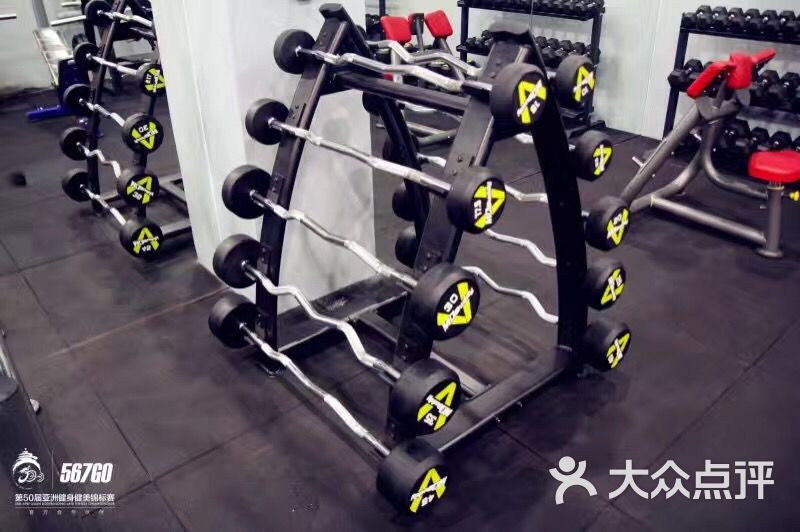 567GO国际健身学院-图片-大连学习培训-大众